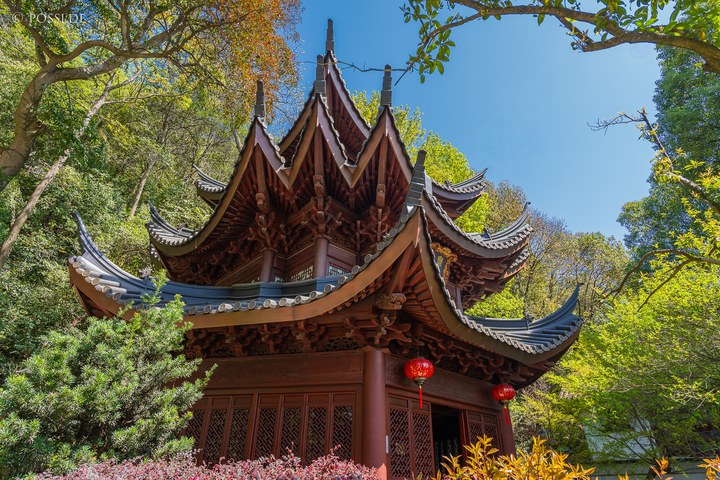 Das Bild zeigt ein chinesisches Gebäude mit einem traditionellen Dach und roten Laternen, umgeben von Bäumen und Blumen. (25.03.2025)