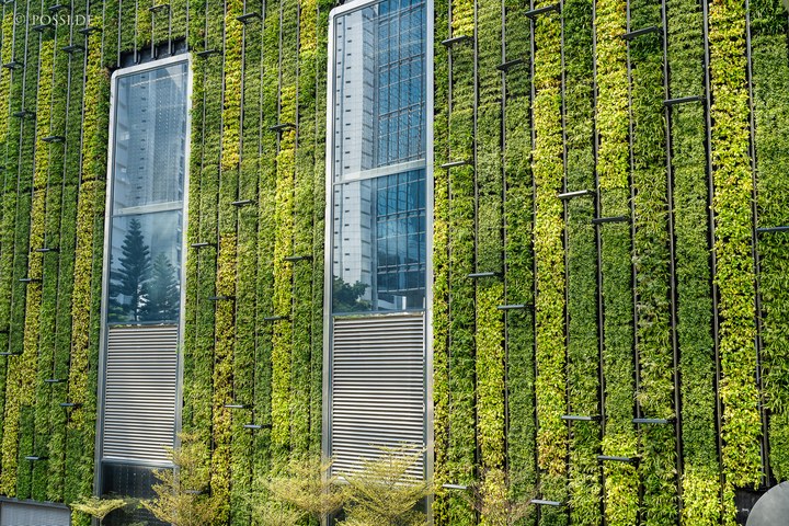 Das Bild zeigt eine moderne Gebäudefassade, die mit grünen Pflanzen überzogen ist und einen urbanen Charakter ausstrahlt. (08.04.2025)